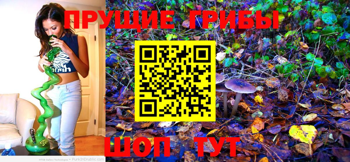 Псилоцибиновые грибы Cubensis Кемерово