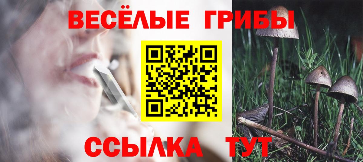Кемерово  Псилоцибиновые грибы ЛСД  Вход с VPN 